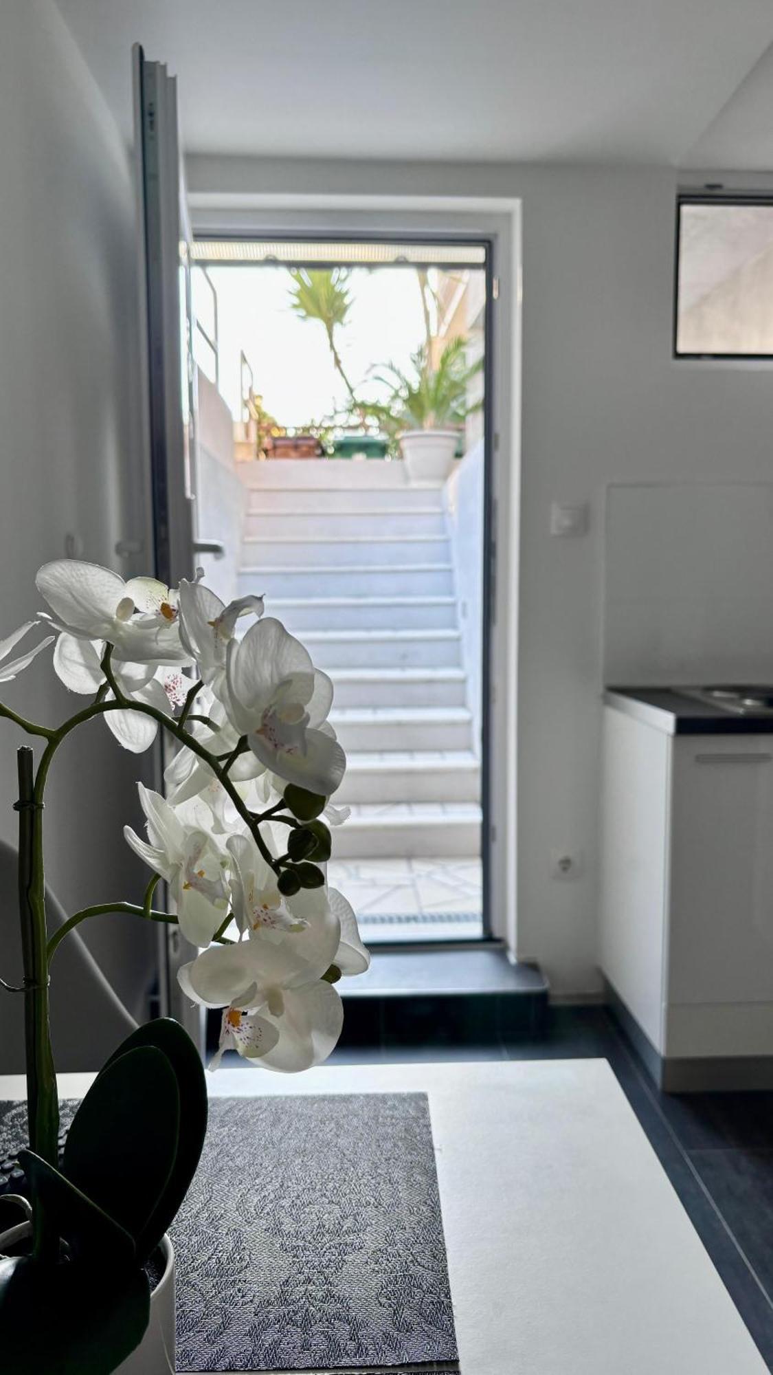 Apartman Branka *** スプリト エクステリア 写真